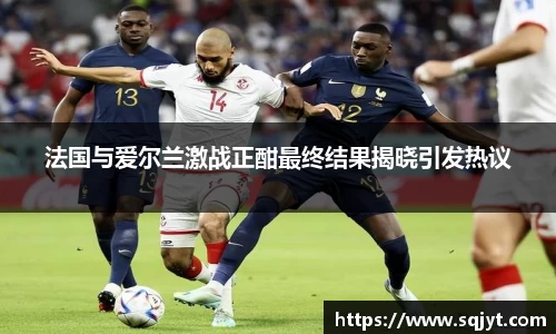 法国与爱尔兰激战正酣最终结果揭晓引发热议